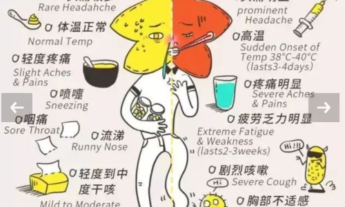 同仁堂感冒药颗粒-同仁堂 感冒颗粒 图片网—知名的同仁堂感冒清热颗粒图片网站,分享北京同仁堂感冒颗粒外包装图片知识